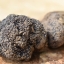 Top Choices Of Black Truffle Uk