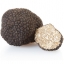 Alba White Truffle - CERTIFIED