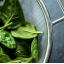 1432-is-spinach-a-good-source-of-omega-3-...